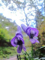blog091012_13.JPG