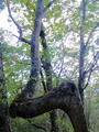 blog091012_06.JPG