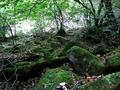 blog091012_07.JPG