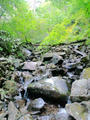blog091012_08.JPG