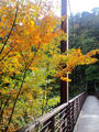 blog091012_09.JPG