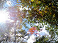 blog091013_1.JPG