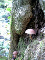 blog091013_2.JPG