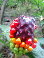 blog091013_3.JPG