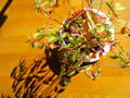 blog091018_2.JPG