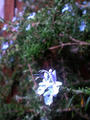 blog091111_2.JPG