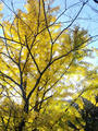 blog091115_03.JPG