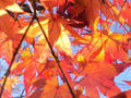 blog091123_1.JPG