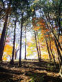 blog091123_3.JPG