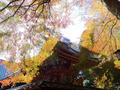 blog091123_4.JPG