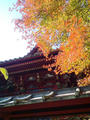 blog091123_5.JPG