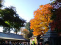 blog091123_6.JPG