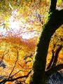 blog091202.JPG