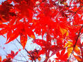 blog091203.JPG