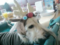 blog091213_1.JPG