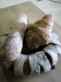 blog091214.JPG