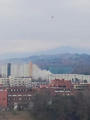 blog100111_2.JPG