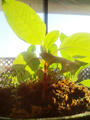 blog100214.JPG
