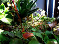 blog100226.JPG