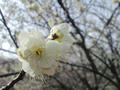 blog100305.JPG