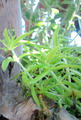 blog100307.JPG