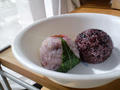 blog100326_1.JPG
