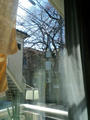 blog100338.JPG