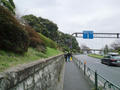 blog100328_1.JPG
