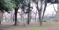 blog100328_2.JPG