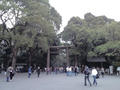 blog100328_3.JPG