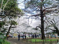blog100403_2.JPG