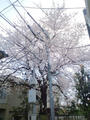 blog100405_2.JPG