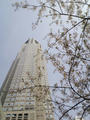 blog100409.JPG