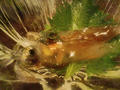 blog100416_3.JPG