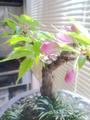 blog100422.JPG
