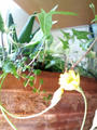 blog100423.JPG