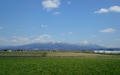 blog100425_3.JPG