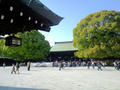 blog100429_1.JPG