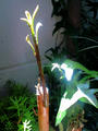 blog100606_1.JPG