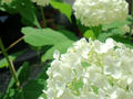 blog100613.JPG