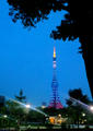 blog100701.JPG