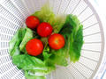 blog100706.JPG