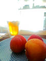 blog100708.JPG