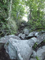blog100827_04.JPG