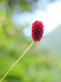 blog100827_10.JPG