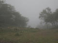 blog100827_13.JPG