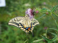 blog100827_15.JPG