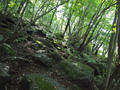 blog100828_04.JPG
