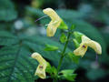 blog100828_05.JPG