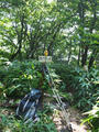 blog100828_07.JPG